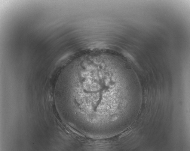 X0000067511063200604150127