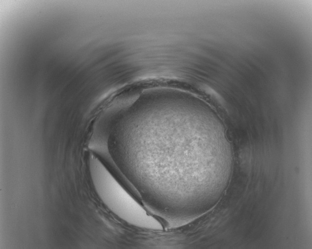 X0000067511064200604150127