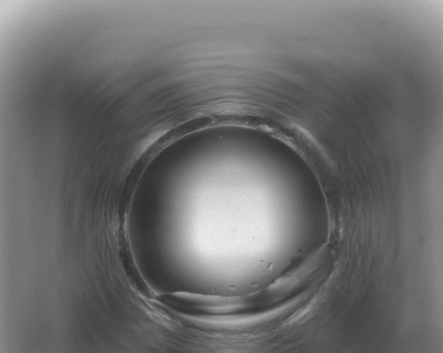 X0000067511065200604150127