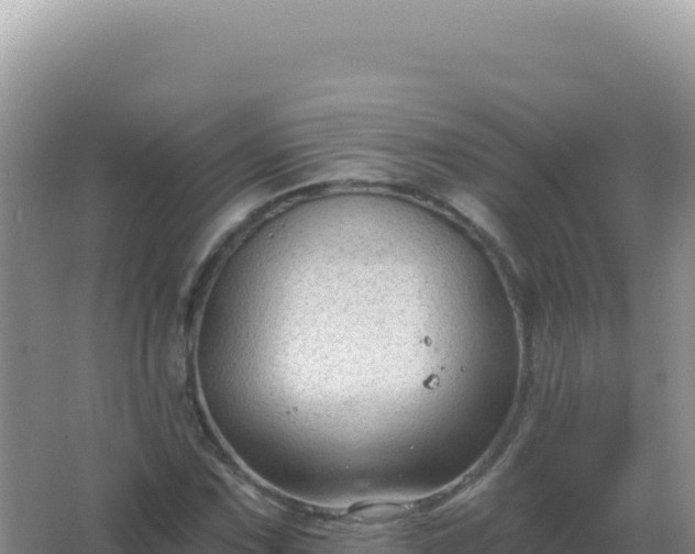 X0000067511067200604150127