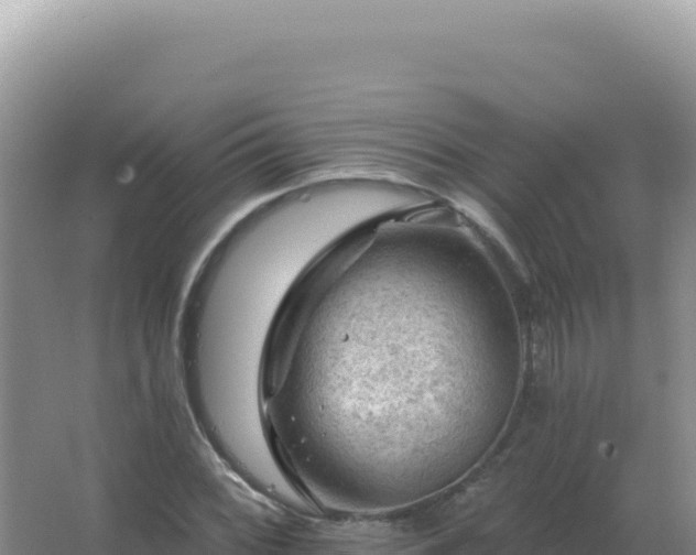 X0000067511068200604150127