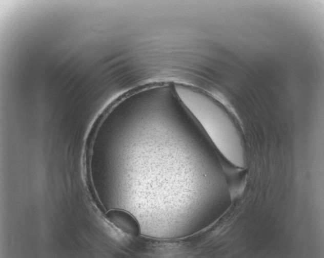 X0000067511076200604150127