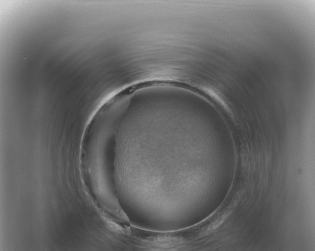 X0000067511077200604150127