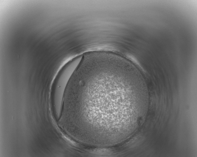 X0000067511079200604150127