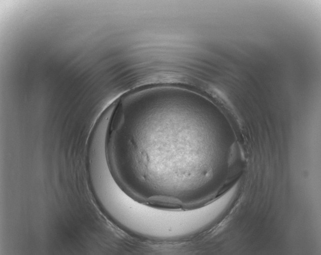 X0000067511081200604150127