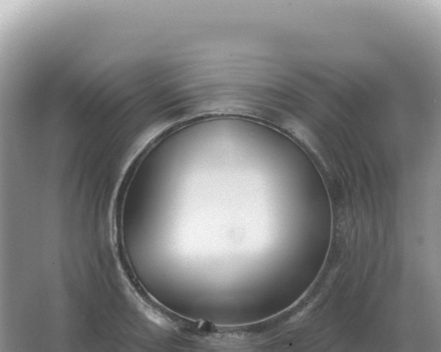 X0000067511082200604150127