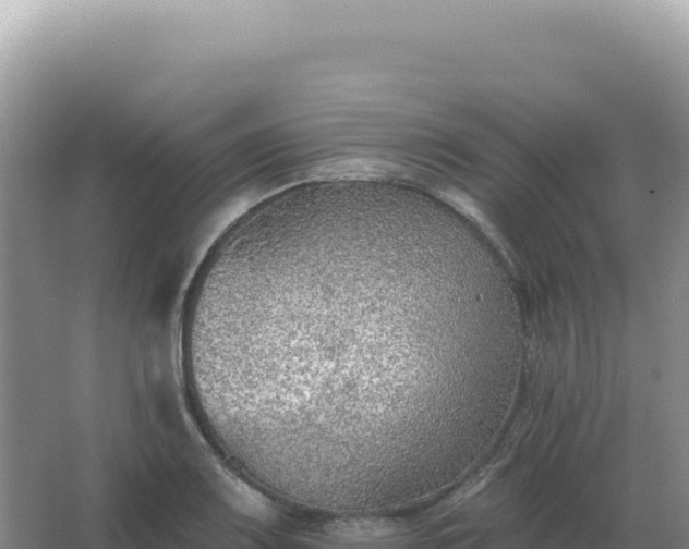 X0000067511083200604150127