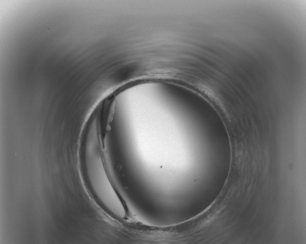 X0000067511085200604150127