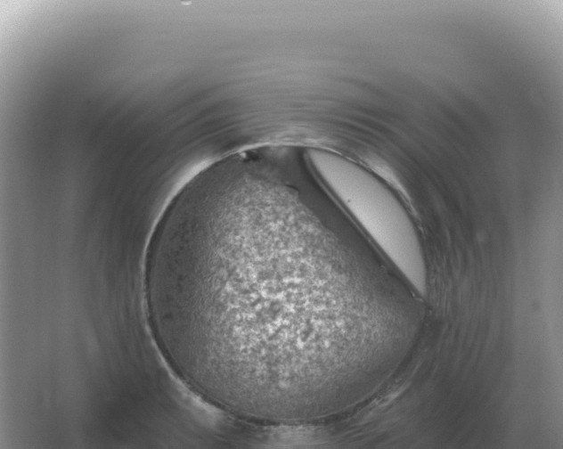 X0000067511087200604150127