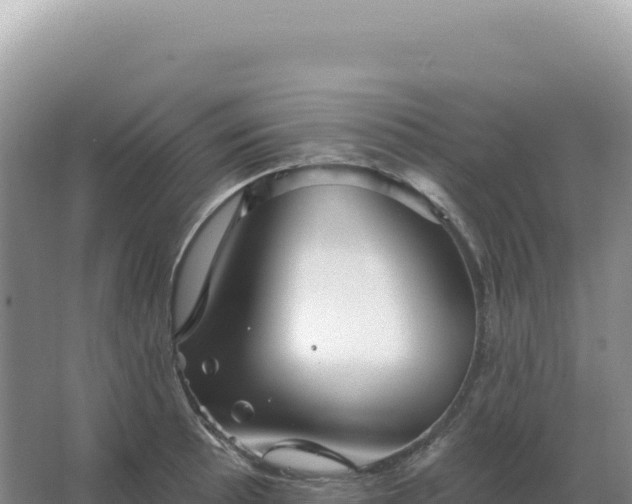 X0000067511089200604150127