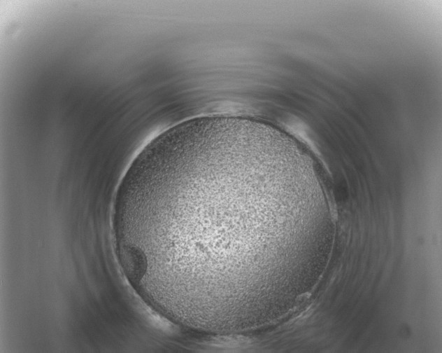 X0000067511091200604150127