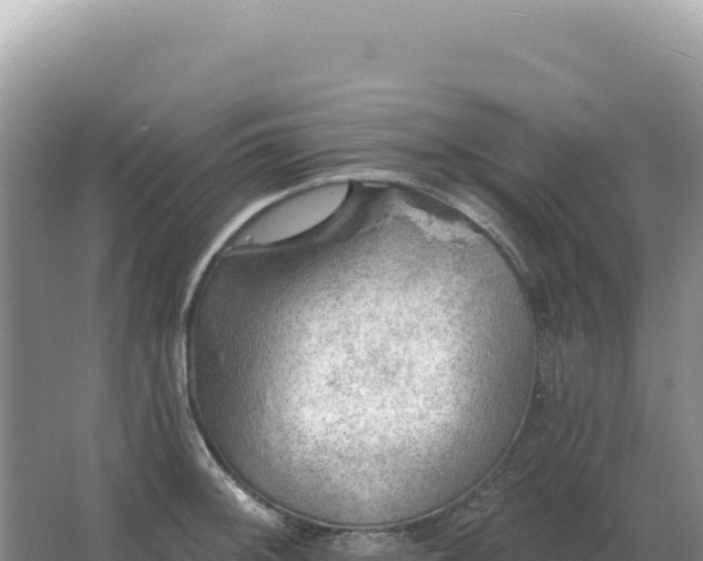 X0000067511092200604150127