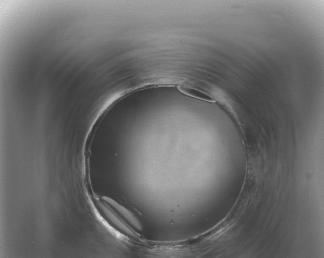 X0000067511095200604150127