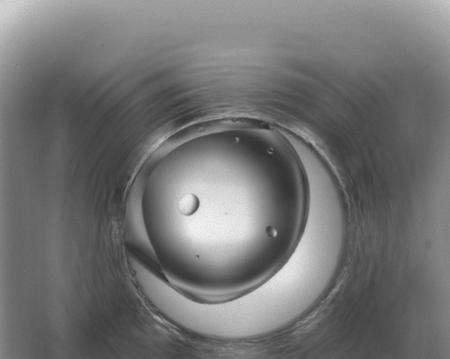 X0000067511097200604150127