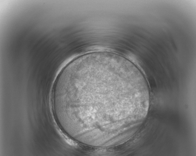 X0000067511098200604150127