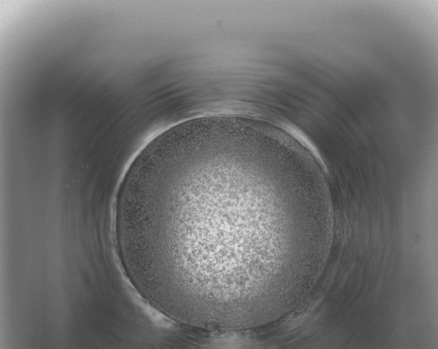 X0000067511099200604150127