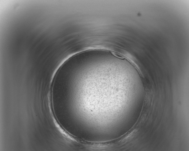 X0000067511100200604150127