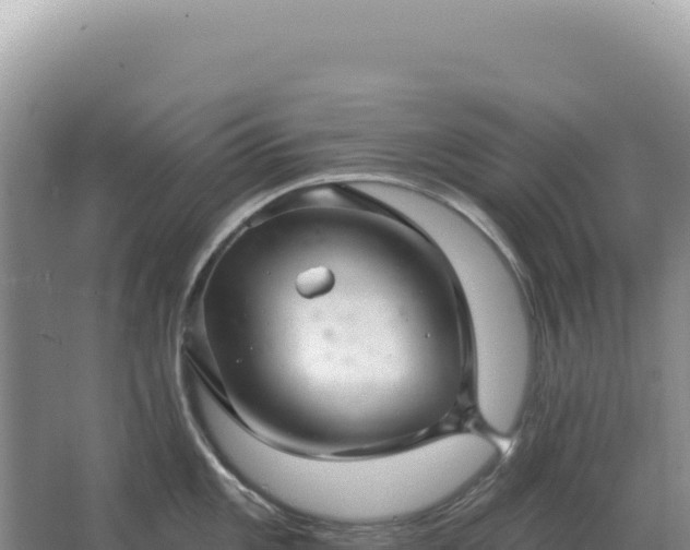 X0000067511101200604150127