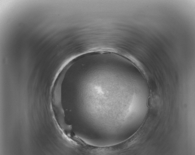 X0000067511102200604150127