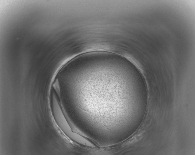 X0000067511104200604150127