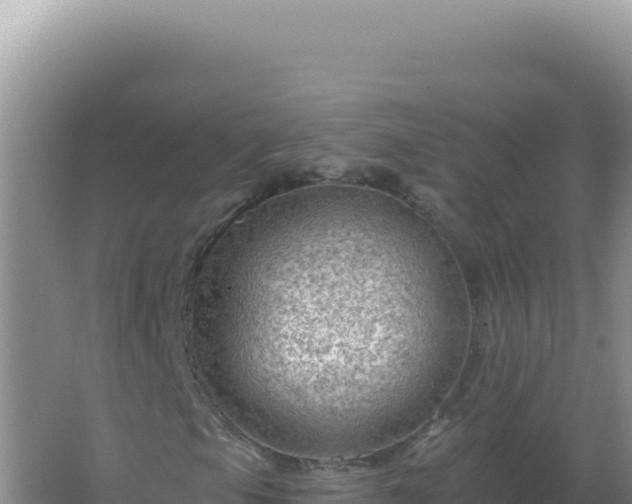 X0000067511105200604150126