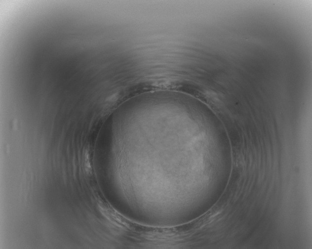 X0000067511106200604150126