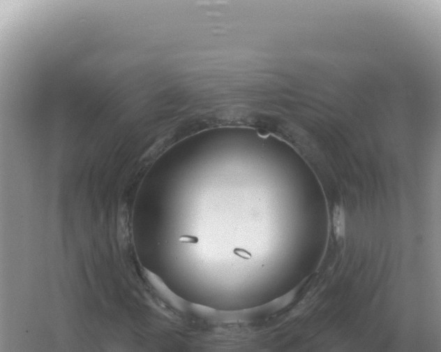 X0000067511107200604150126