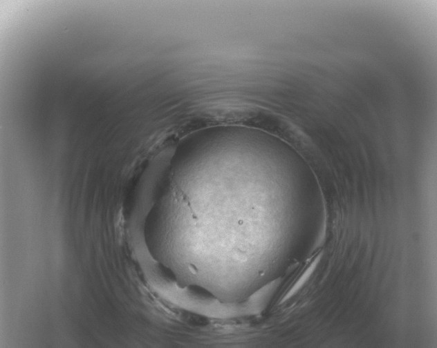 X0000067511108200604150126