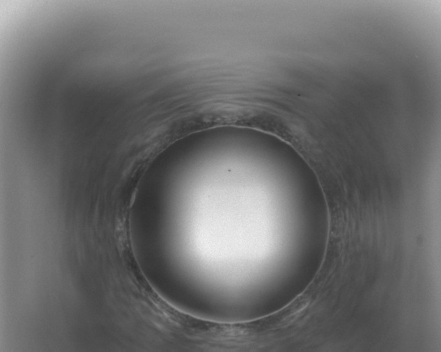 X0000067511109200604150126