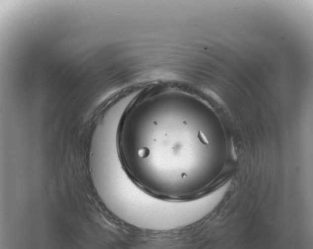 X0000067511112200604150126