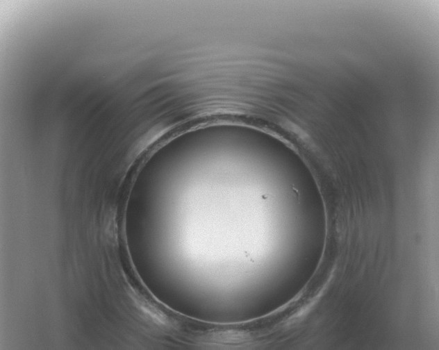 X0000067511113200604150126