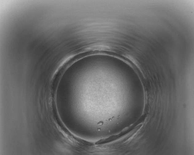 X0000067511115200604150126