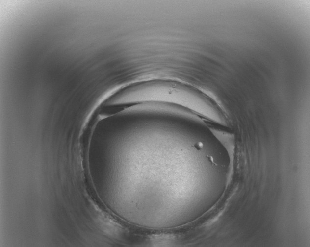 X0000067511118200604150126