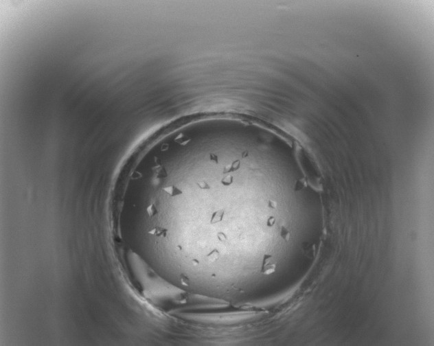 X0000067511120200604150126