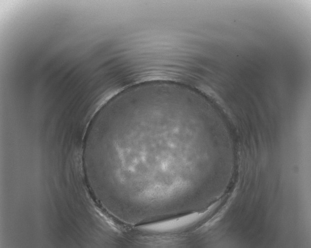 X0000067511121200604150126