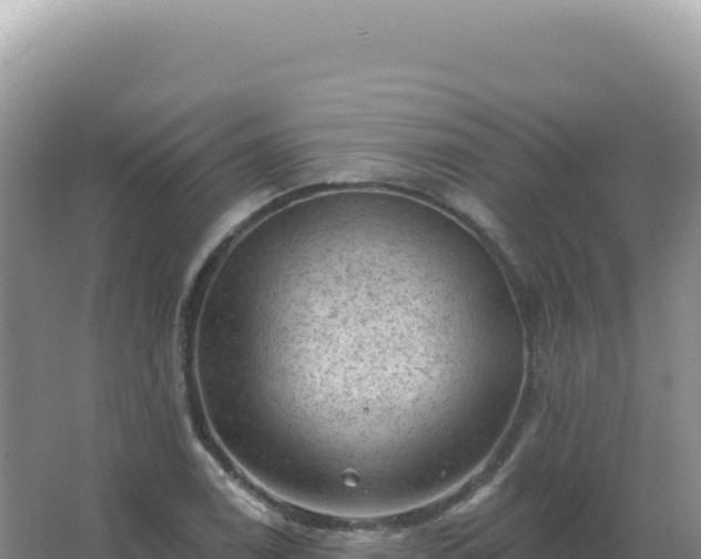 X0000067511122200604150126