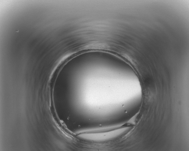 X0000067511123200604150126