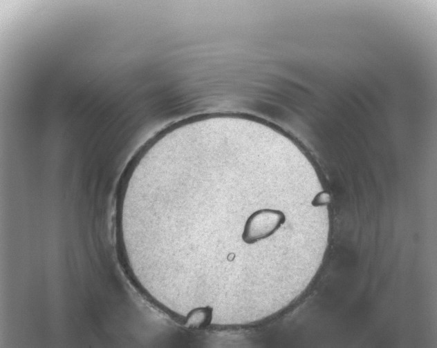 X0000067511126200604150126