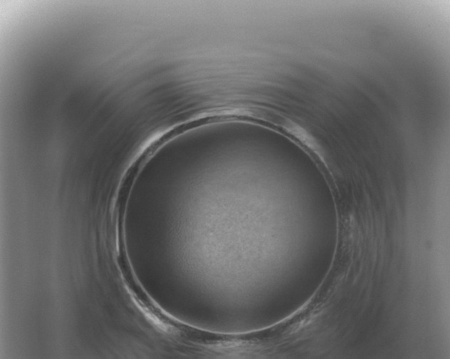 X0000067511127200604150126