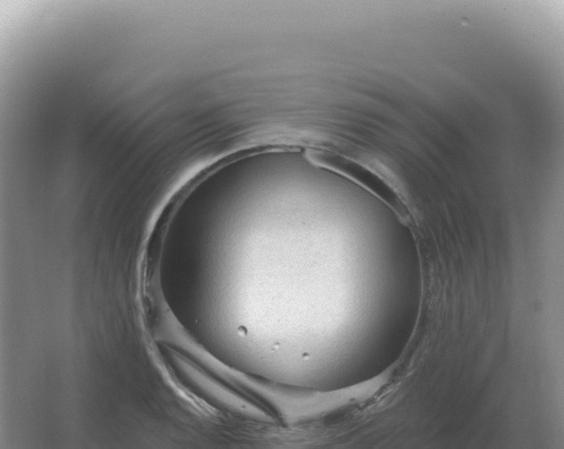 X0000067511128200604150126