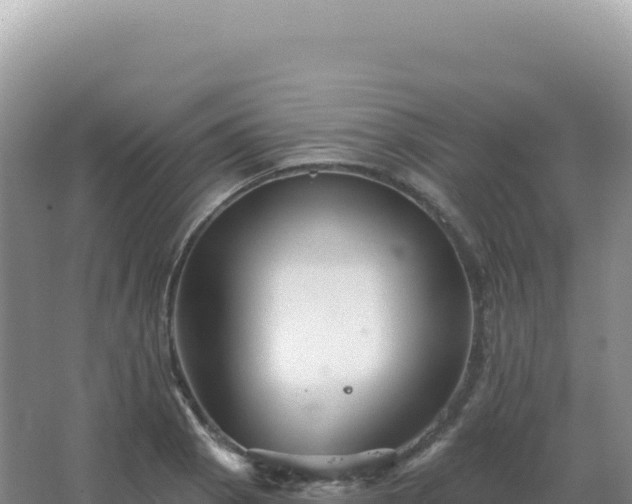 X0000067511129200604150126