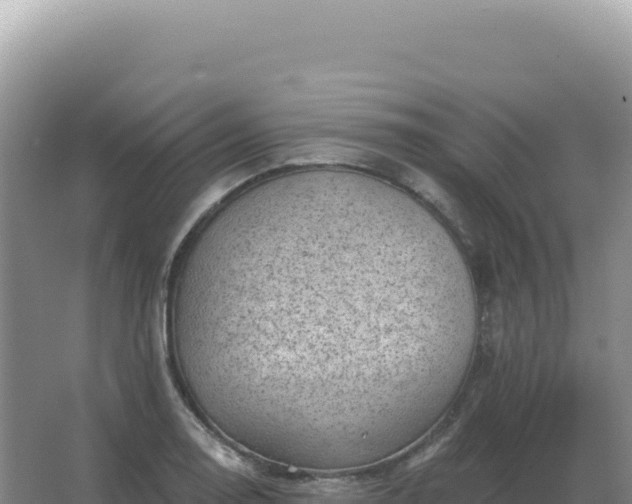 X0000067511130200604150126