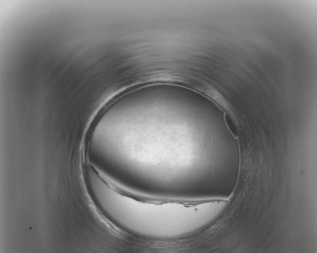 X0000067511132200604150126