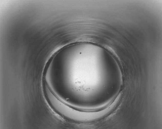 X0000067511133200604150126