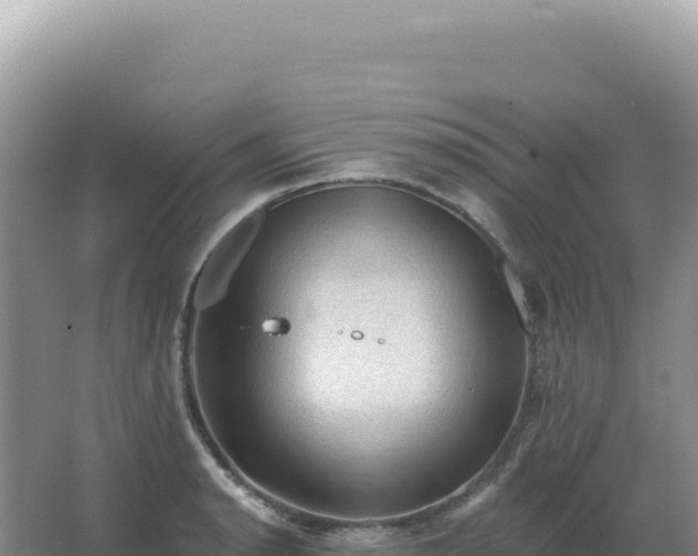 X0000067511134200604150126