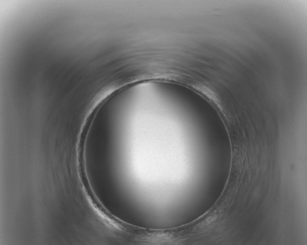 X0000067511135200604150126