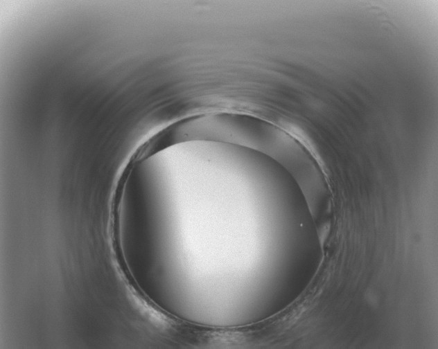 X0000067511136200604150126