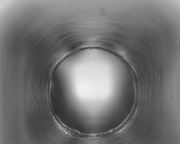 X0000067511137200604150126