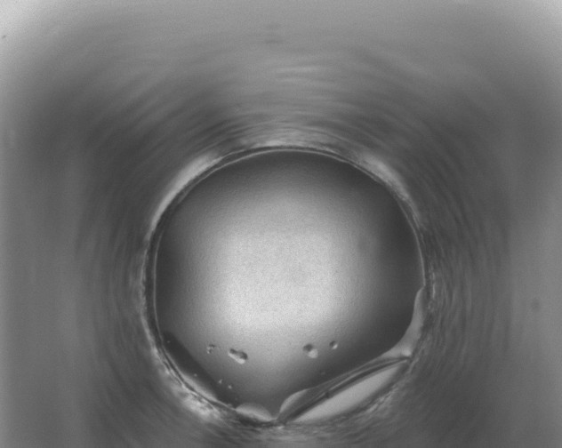 X0000067511138200604150127