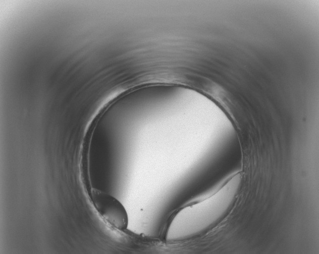 X0000067511139200604150127